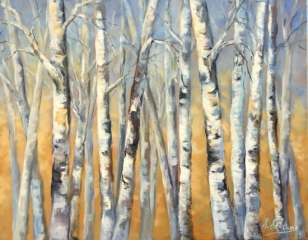 Bouleaux forêt automne