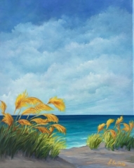 Mer Dunes graminées turquoise